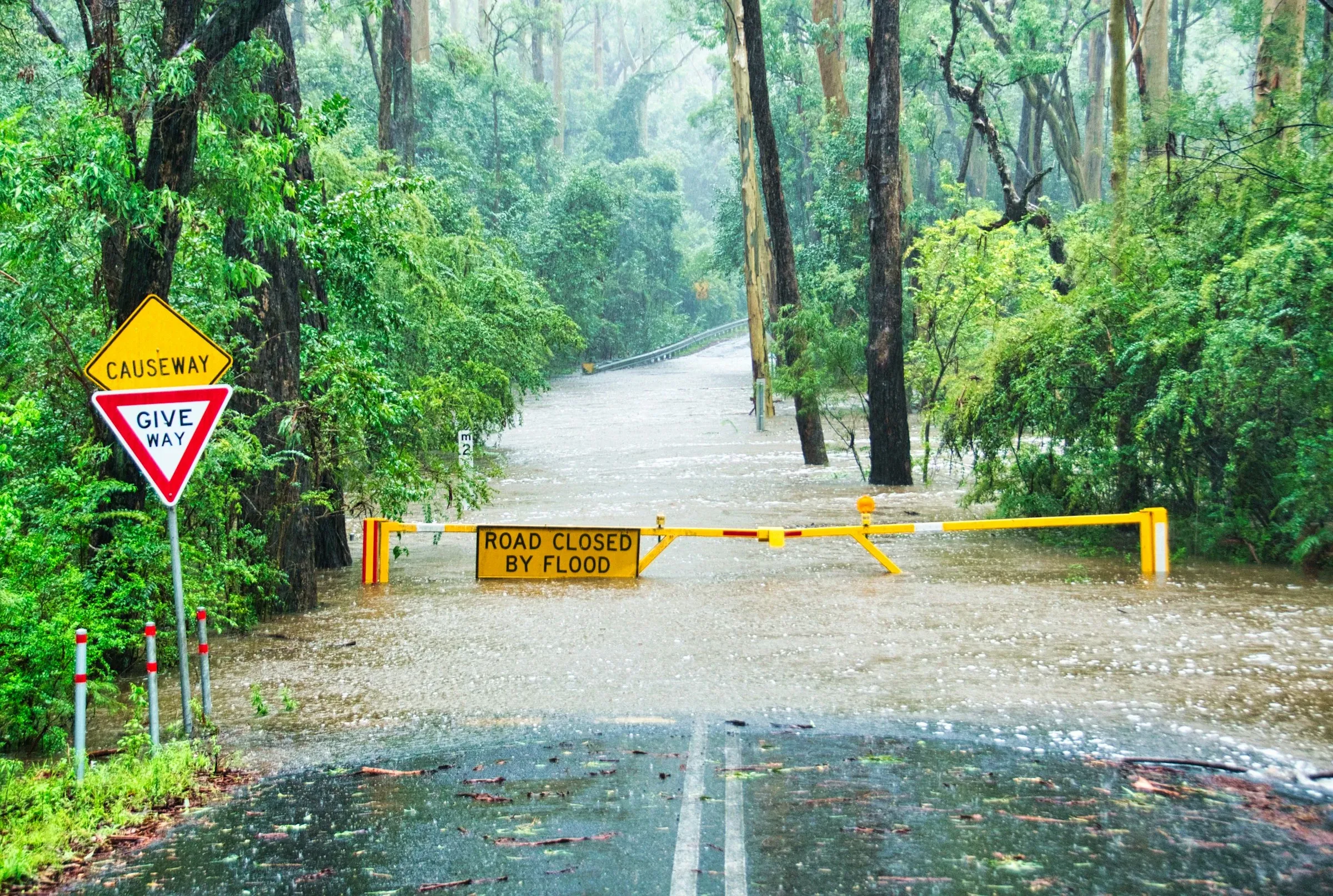 Environmental and flood alert monitoring
