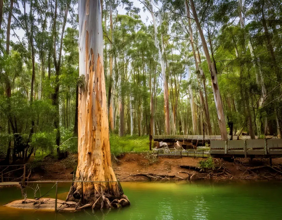 Environmental research and field studies